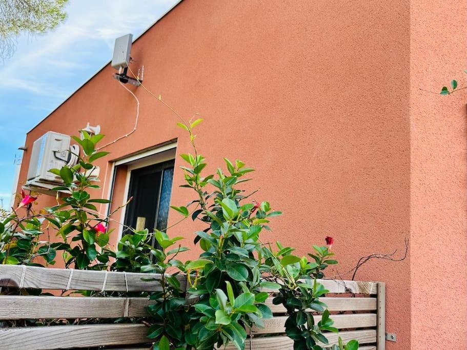 Moderne Mini Maison Lezignan-Corbieres Exterior photo